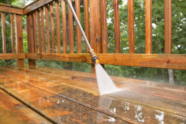Best Animal Enclosure Cleaning  in Churchill, MT